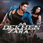 Aa Dekhen Zara - Shaan Song Download